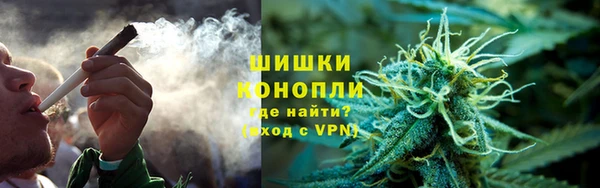 сатива Аркадак