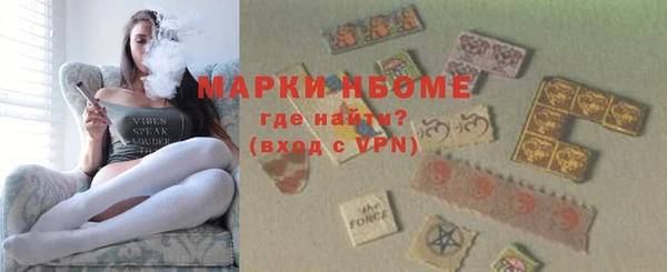 сатива Аркадак
