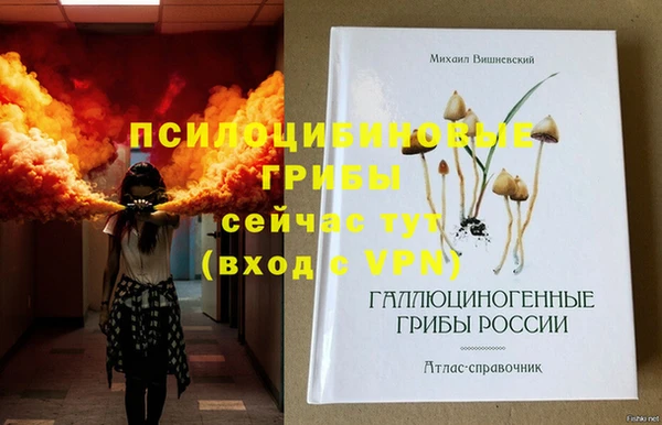 сатива Аркадак