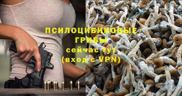 сатива Аркадак