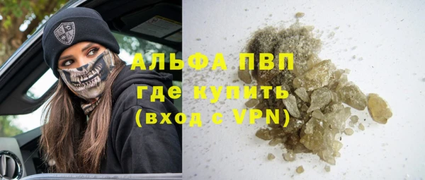 сатива Аркадак