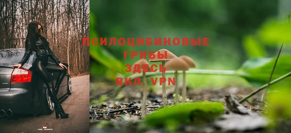 сатива Аркадак